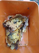 팜모닝 자유주제·자유게시판 게시글 이미지