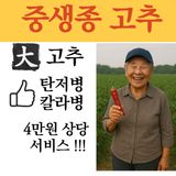 팜모닝 · 게시글 이미지