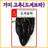 팜모닝 · 게시글 이미지