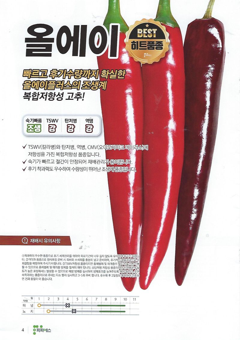 씨앗드림님의 장터 판매 상품 [숙기 빠른 극조생종 모음 1200립] 첨부 사진