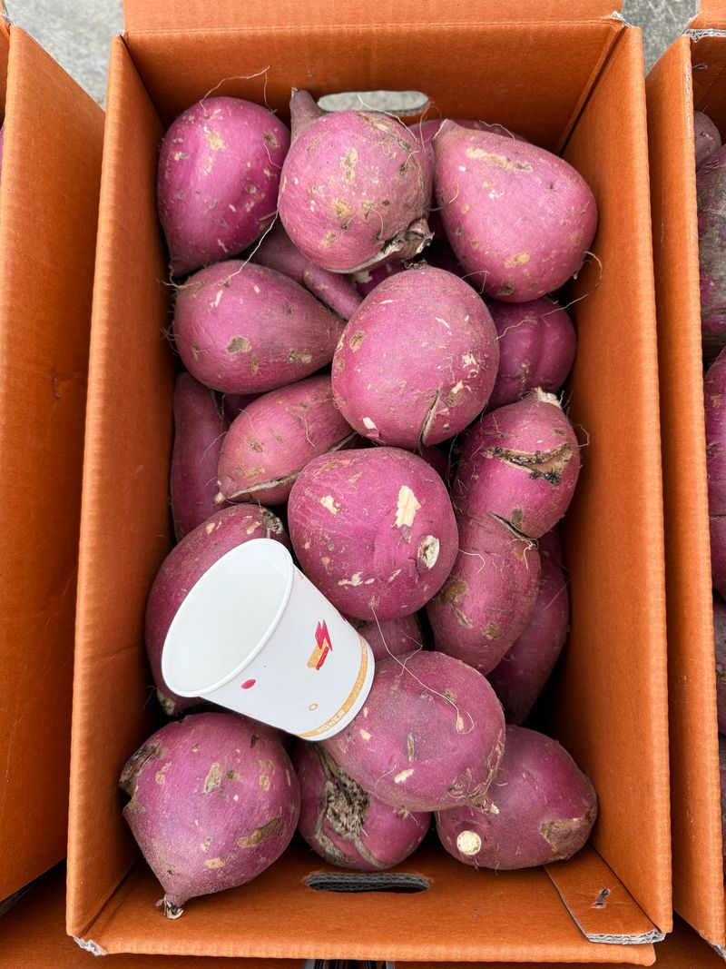 이영민님의 장터 판매 상품 [무안 황토 꿀 고구마 예쁜못난이 10kg ] 첨부 사진