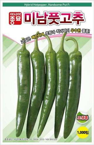 씨앗드림님의 작성글 사진