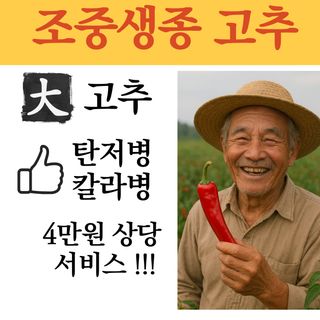 씨앗드림님의 작성글 사진