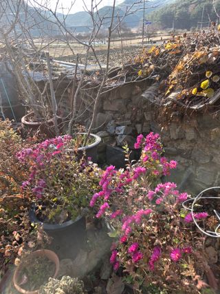 농촌사랑님의 자유주제 · 자유게시판 작성글 사진