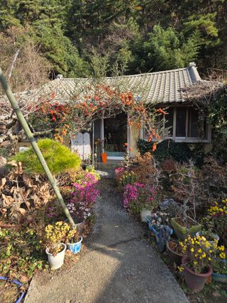 농촌사랑님의 자유주제 · 자유게시판 작성글 사진