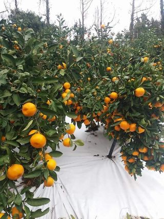 송응준님의 작성글 사진