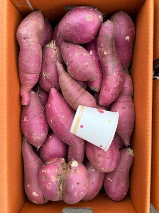 이영민님의 작성글 사진