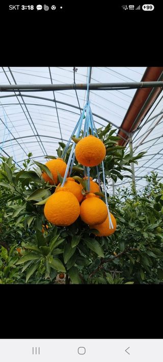 송응준님의 작성글 사진