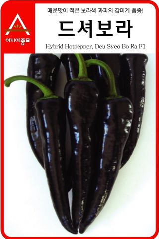 씨앗드림님의 작성글 사진