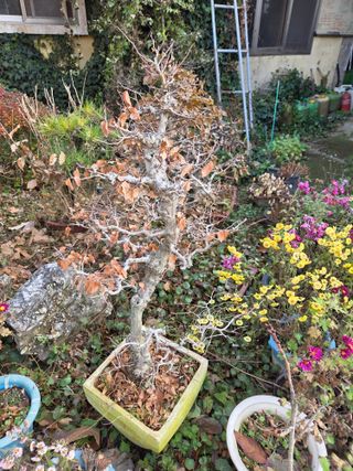 농촌사랑님의 자유주제 · 자유게시판 작성글 사진