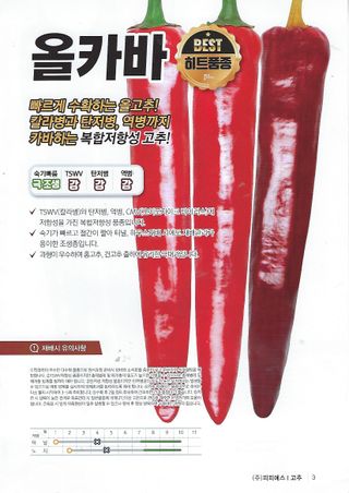 씨앗드림님의 작성글 사진