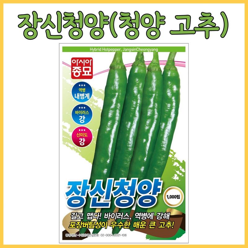 장터 상품 [큰청양고추 대과 장신청양 1000립] 썸네일