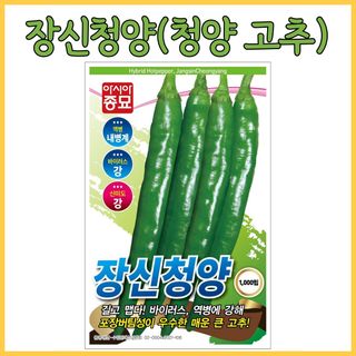 씨앗드림님의 작성글 사진