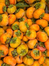 팜모닝 · 게시글 이미지