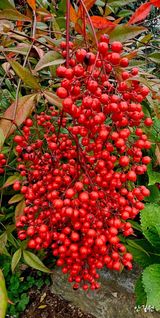 팜모닝 자유주제·자유게시판 게시글 이미지