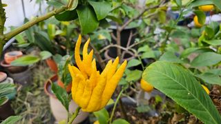 이동순님의 자유주제 · 자유게시판 작성글 사진