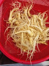 팜모닝 · 게시글 이미지