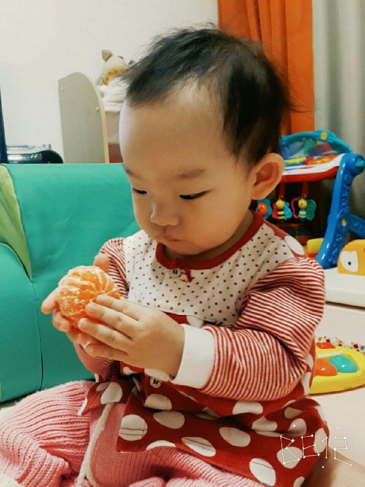 송응준님의 장터 판매 상품 [타이벡조생귤 10ㆍ5kg ] 첨부 사진