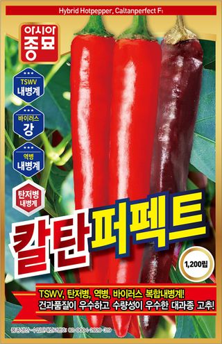 씨앗드림님의 작성글 사진