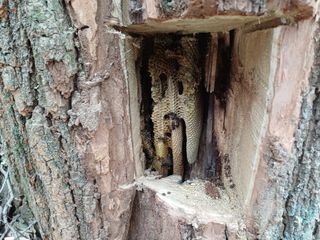 최정윤님의 자유주제 · 자유게시판 작성글 사진