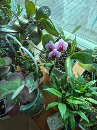 신인농원님의 자유주제 · 자유게시판 작성글 사진