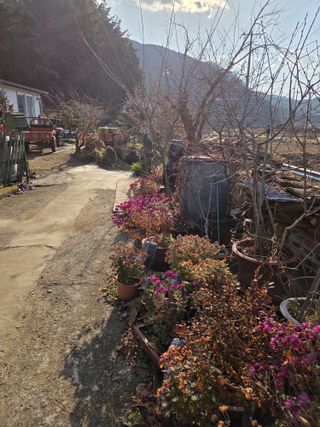 농촌사랑님의 자유주제 · 자유게시판 작성글 사진