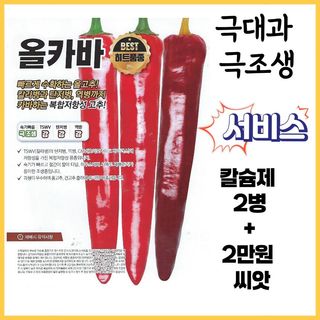 씨앗드림님의 작성글 사진