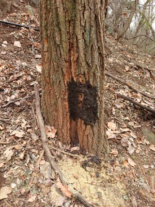 최정윤님의 자유주제 · 자유게시판 작성글 사진