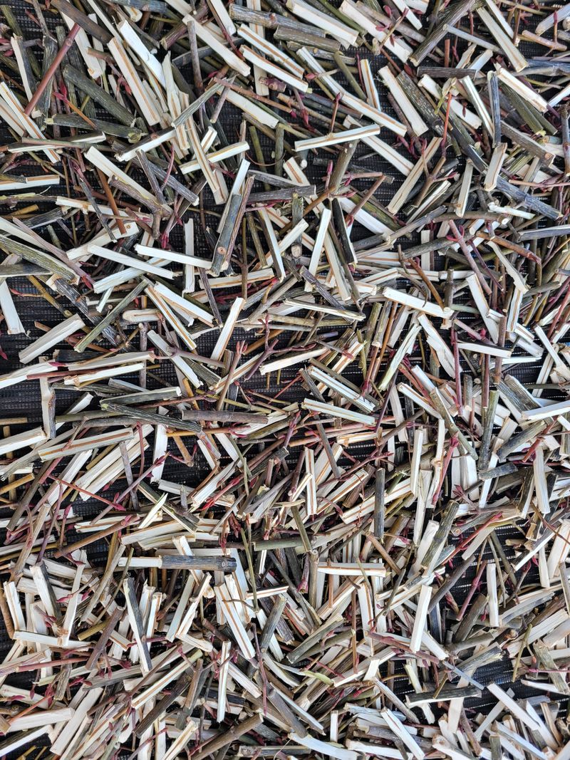 이은정님의 장터 판매 상품 [벌나무 산청목 건가지 1kg] 첨부 사진