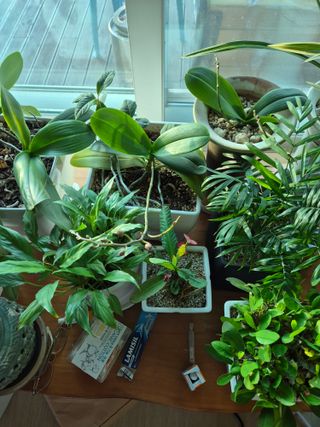 신인농원님의 자유주제 · 자유게시판 작성글 사진