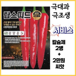 씨앗드림님의 작성글 사진