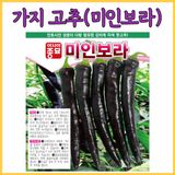 팜모닝 · 게시글 이미지