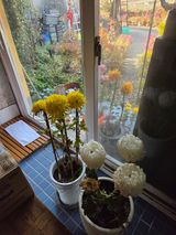 팜모닝 자유주제·자유게시판 게시글 이미지