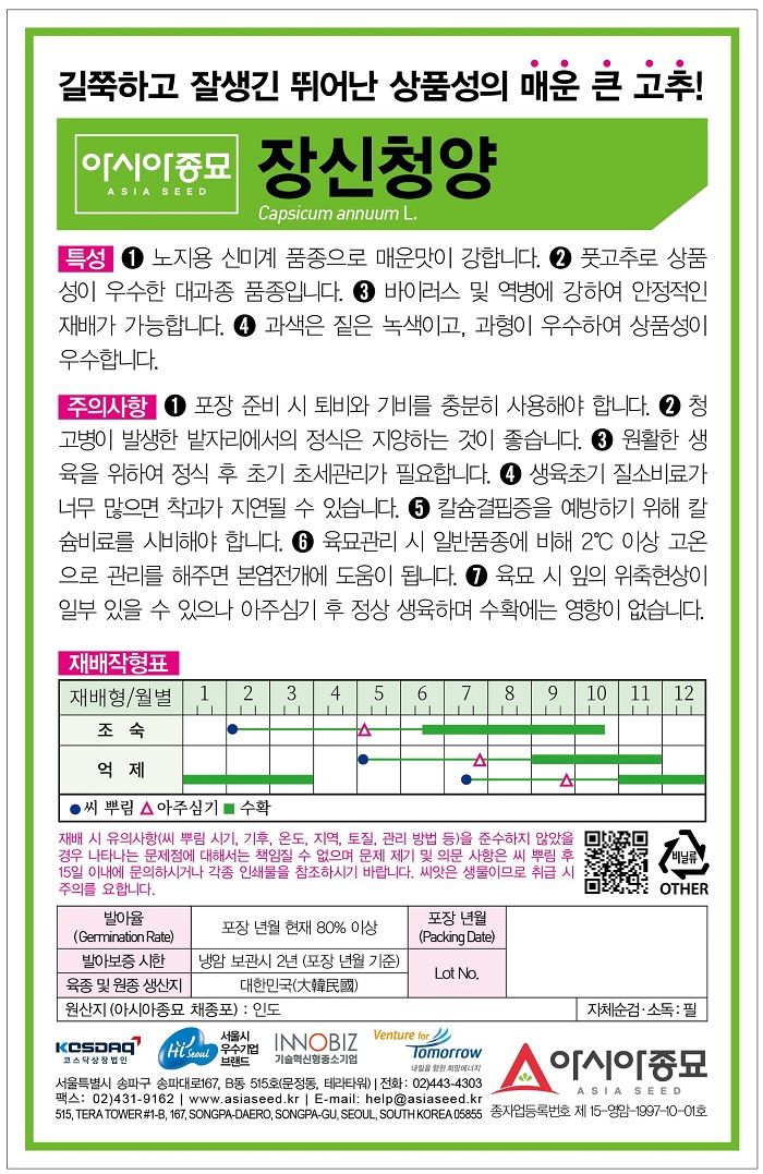 씨앗드림님의 장터 판매 상품 [큰청양고추 대과 장신청양 1000립] 첨부 사진
