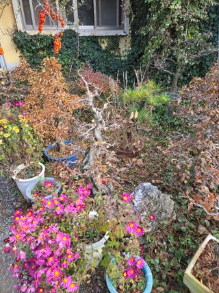 농촌사랑님의 자유주제 · 자유게시판 작성글 사진