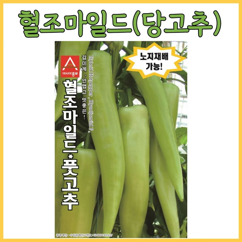 장터 상품 [당고추 혈당고추 혈조마일드 100립 1000립] 썸네일