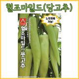 팜모닝 · 게시글 이미지