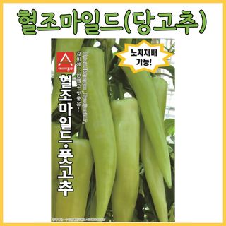 씨앗드림님의 작성글 사진