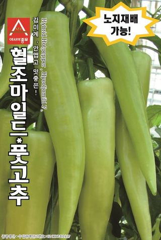 씨앗드림님의 작성글 사진