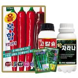 팜모닝 · 게시글 이미지