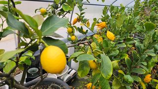 이동순님의 자유주제 · 자유게시판 작성글 사진