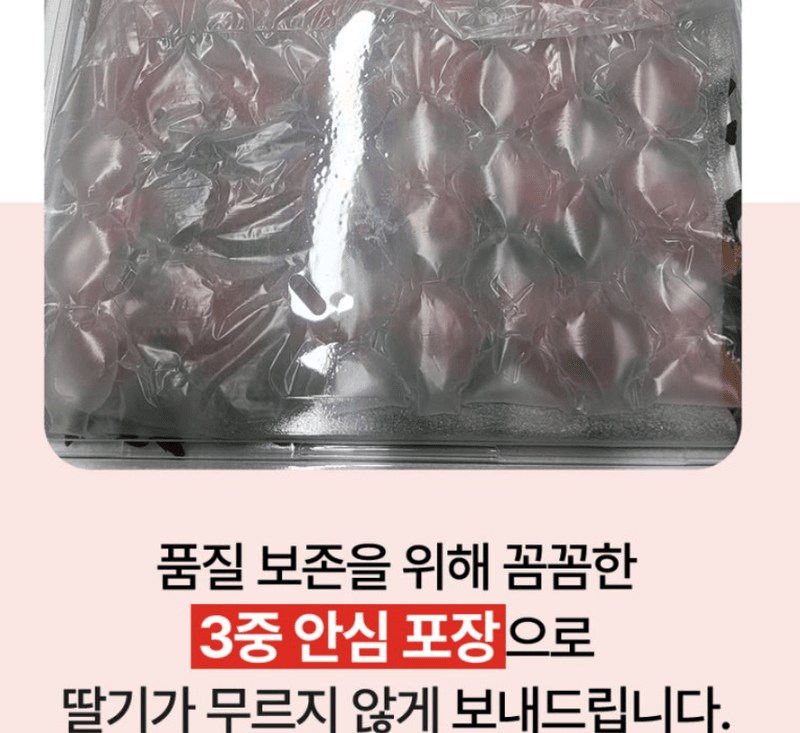 스피드번님의 장터 판매 상품 [설향딸기] 첨부 사진