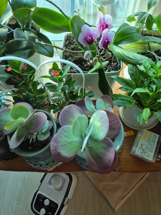 신인농원님의 자유주제 · 자유게시판 작성글 사진