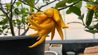 이동순님의 자유주제 · 자유게시판 작성글 사진