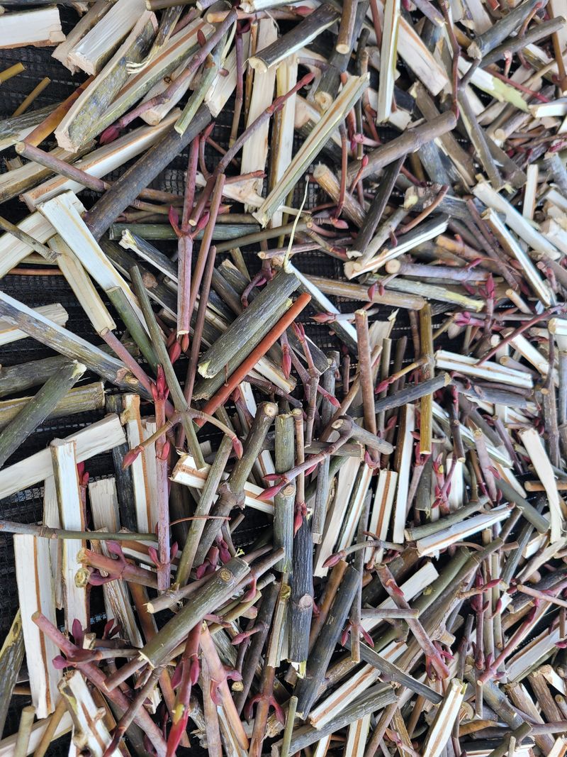 장터 상품 [벌나무 산청목 건가지 1kg] 썸네일