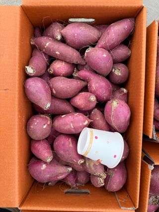 이영민님의 작성글 사진