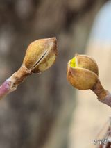 팜모닝 자유주제·자유게시판 게시글 이미지