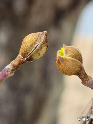안길원님의 자유주제·자유게시판 작성글 사진