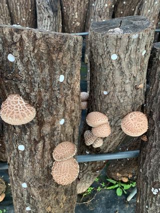 한밭농원님의 자유주제 · 자유게시판 작성글 사진