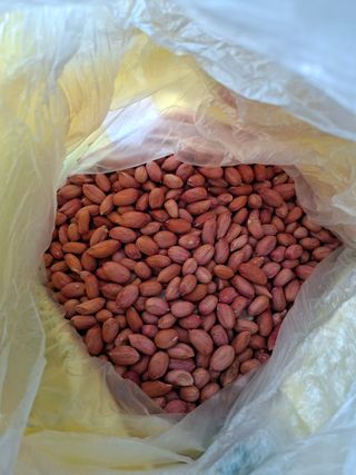 김중언님의 작성글 사진